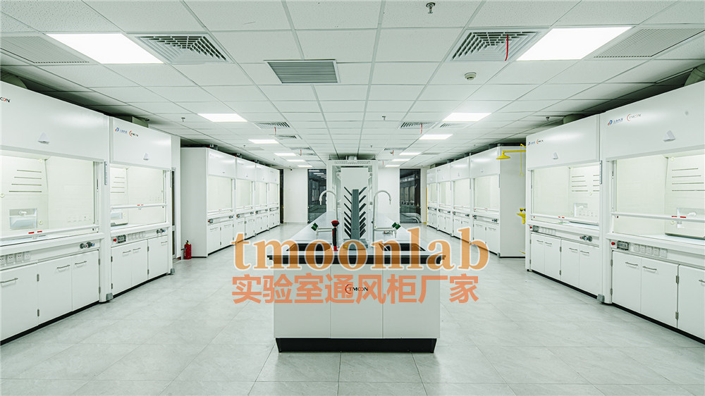 全钢通风橱生产厂家博尔源头定制实力保障